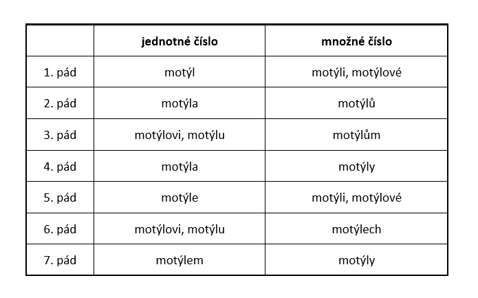 Skloňování motýl v češtině